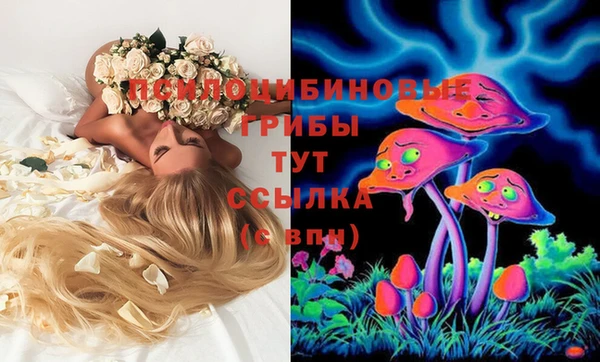 стаф Алексеевка