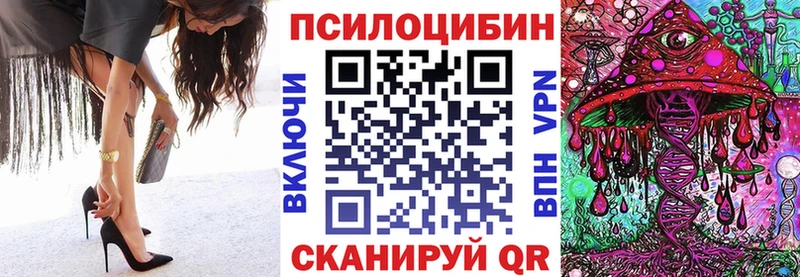 Галлюциногенные грибы Psilocybine cubensis  магазин продажи наркотиков  Павловская 